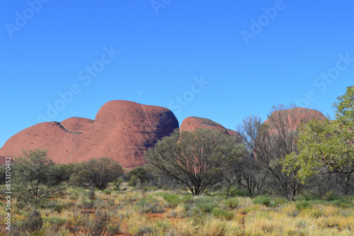 A view of the Olgas (Kata Tjuta) in the Red Center of Australia.  photo