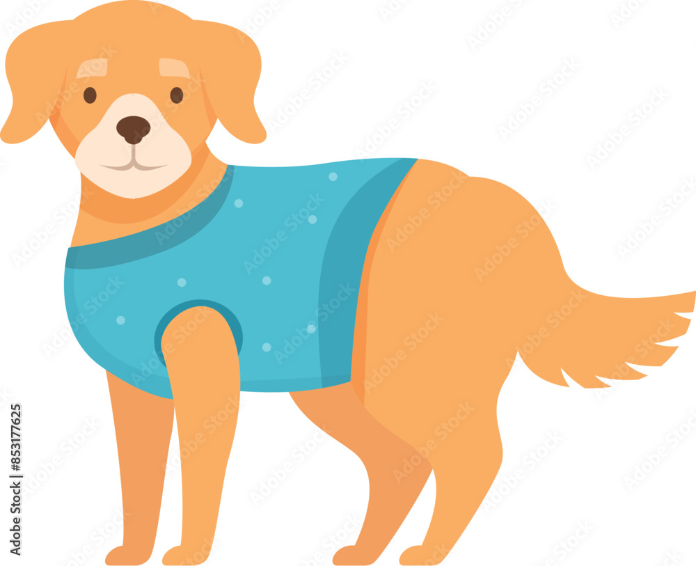 Obraz premium Cute golden retriever dog is standing and wearing a blue shirt