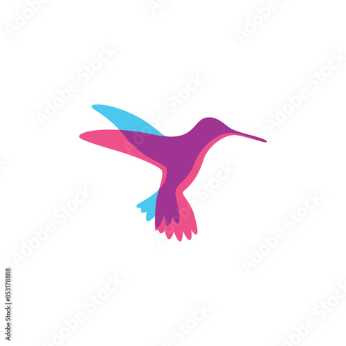 Colorful flying Hummingbird. Vector illustration with two colors