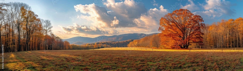 Fototapeta premium Autumn Landscape With Colorful Trees and Blue Sky in the Mountains
