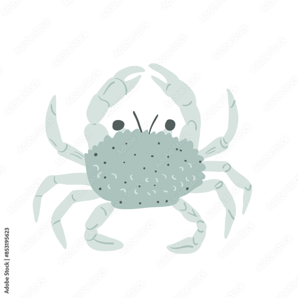 Blue crab isolated on white background. Marine creature and underwater crustacean. Vector hand drawn flat illustration. Blue crab isolated on white background. Marine creature and underwater crustacean. Vector hand drawn flat illustration.