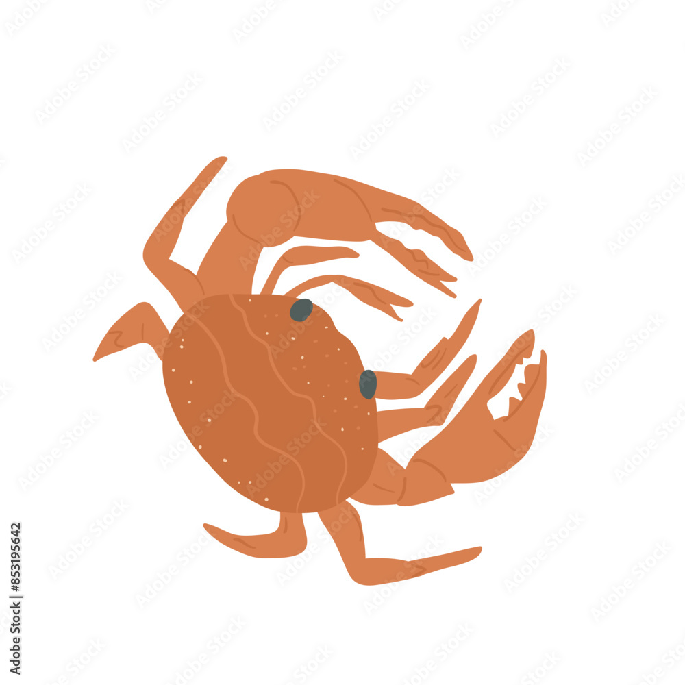 Obraz premium Crab isolated on white background. Marine creature and underwater crustacean. Vector hand drawn flat illustration.