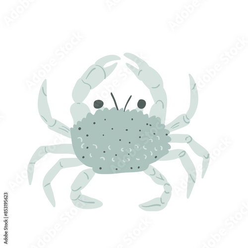 Blue crab isolated on white background. Marine creature and underwater crustacean. Vector hand drawn flat illustration.