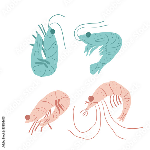 Shrimps isolated on white background. Crustaceans and underwater life. Set of stylized marine creatures. Vector hand drawn flat collection illustration.