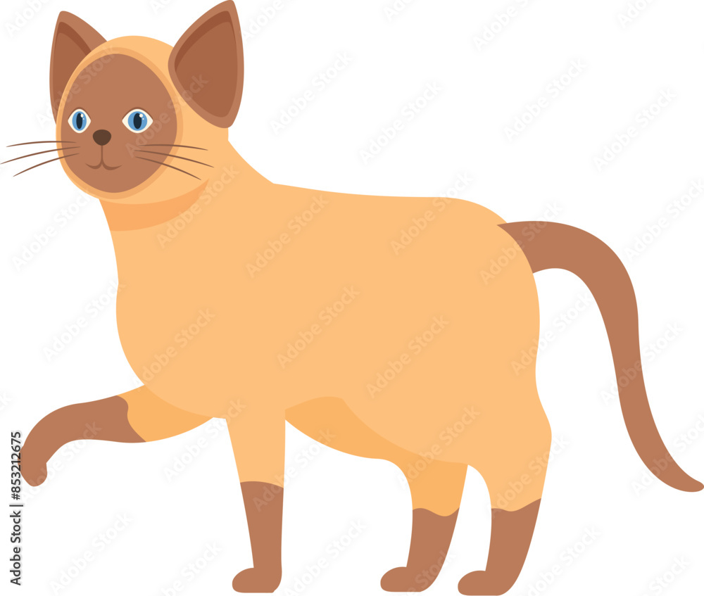 Cute siamese cat illustration, walking with its paw raised Cute siamese cat illustration, walking with its paw raised