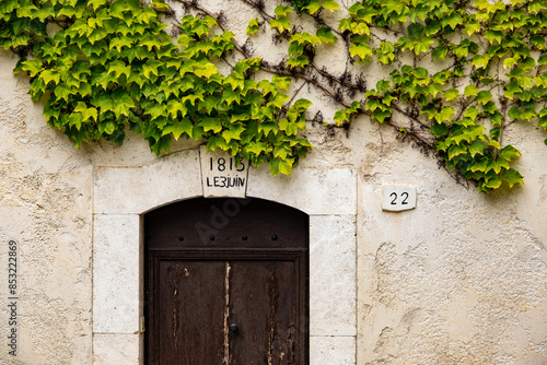 close up of vine on ancient house facade finished building on June 3rd 1813 photo