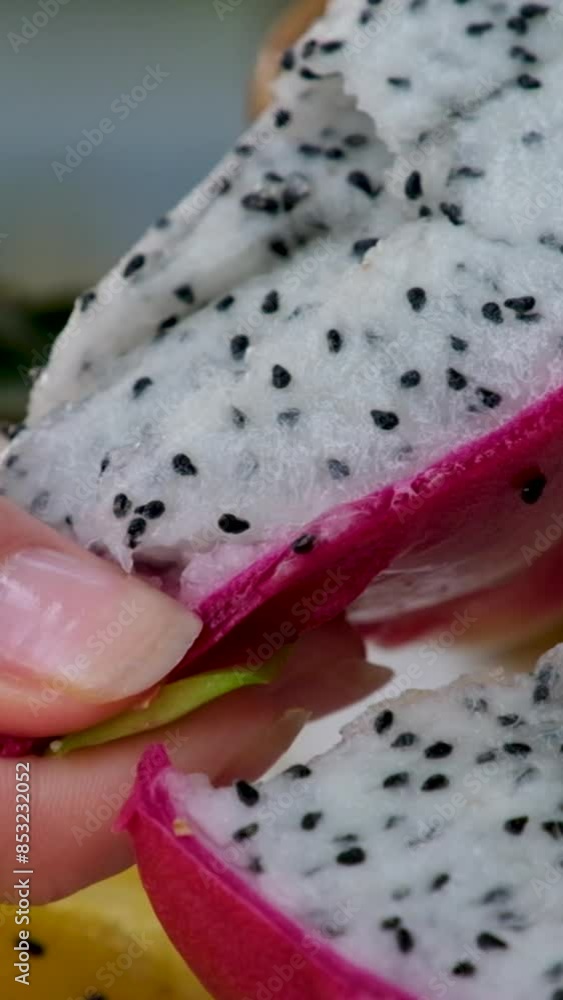 pitaya or pitahaya is fruit of several different cactus species indigenous to region of southern Mexico and along the Pacific coasts of Guatemala, Costa Rica. Dragon fruit Thanh Long pitaya or pitahaya is fruit of several different cactus species indigenous to region of southern Mexico and along the Pacific coasts of Guatemala, Costa Rica. Dragon fruit Thanh Long