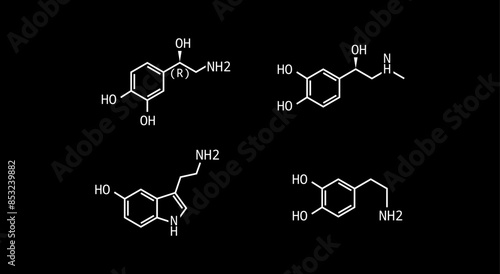 Catecholamines vector formula illustration isolated