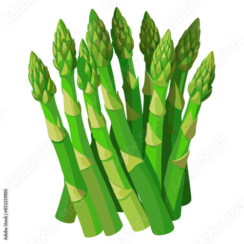 Flat vector image of green asparagus spears, shown whole and in bunches, on a white background.