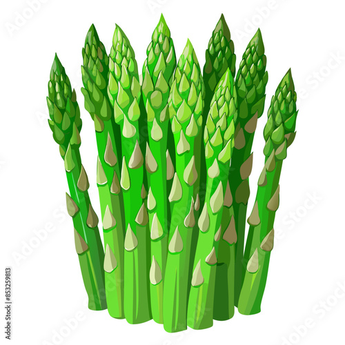 Flat vector image of green asparagus spears, shown whole and in bunches, on a white background.