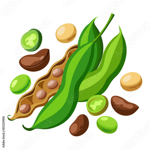 Flat vector image of various green beans and dried beans, shown whole and in pods, on a white background.