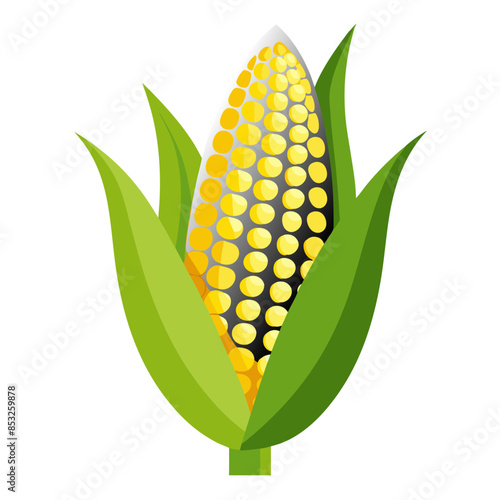 Flat vector image of yellow corn on the cob with green husks, shown whole and with kernels visible, on a white background.