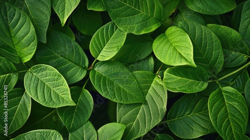 Material with a background design of green leaves