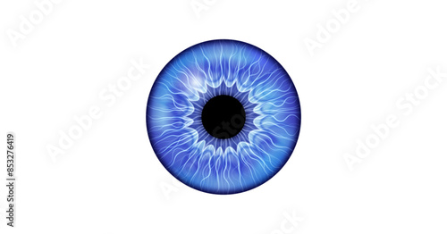 Iris poster