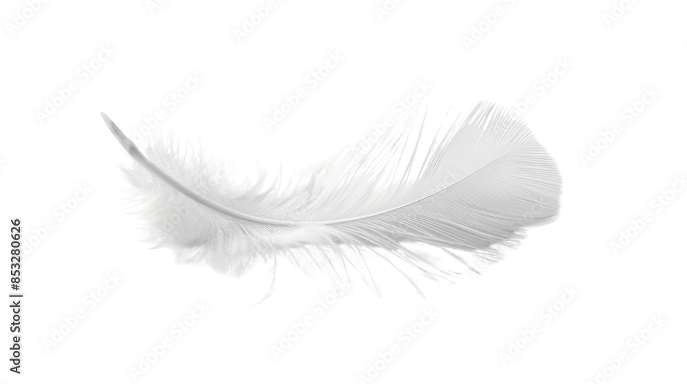 Obraz premium White feather on white background
