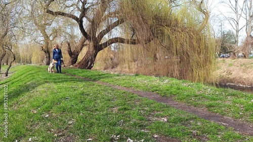 Dog training. Woman trains mongrel obedience and walking in park. Active weekend with pet in city. dog learns to do exercises - calm walking on leash next to person, sit down when person stops