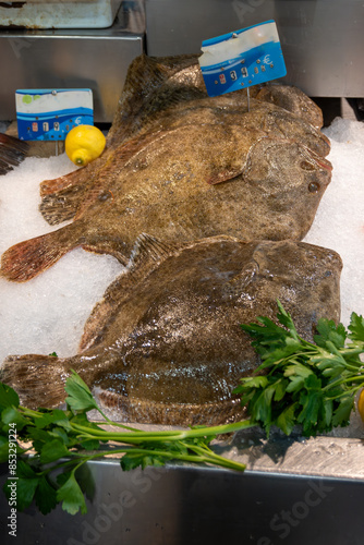 Turbot fish on ice on market, highly prized fish for its delicate flavour, brat, breet, britt, or butt fish photo