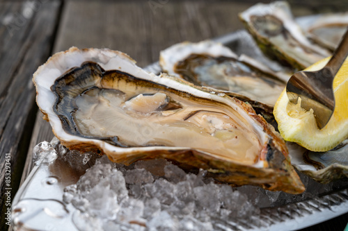 Eating of fresh live oysters with citron at farm cafe in oyster-farming village, Arcachon bay, Gujan-Mestras port, Bordeaux, France in sunny day, huge oyster photo