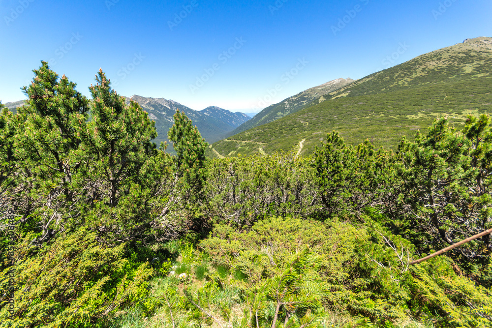 Summer Landscape of Rila mountain near Granchar Lake, Bulgaria Summer Landscape of Rila mountain near Granchar Lake, Bulgaria