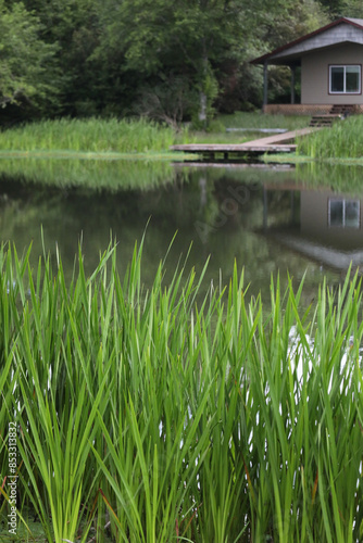 Cabin with dock on a lake