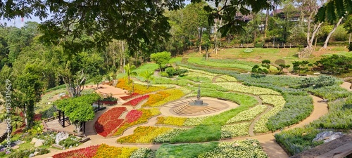 Beautiful multicolor flower garden