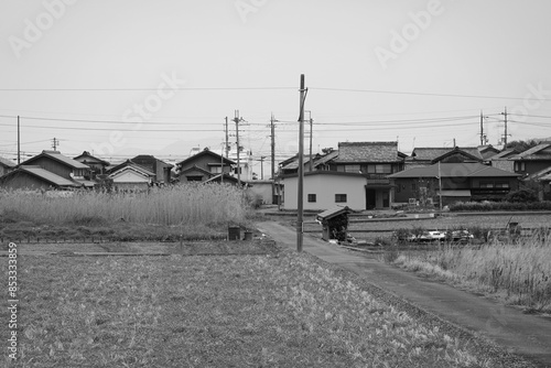 田んぼとあぜ道　日本の原風景
