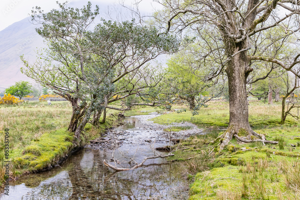 A small stream in Lake District National Park. A small stream in Lake District National Park.