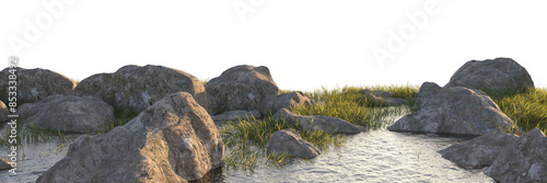 grass field small plant and stones around pond	

