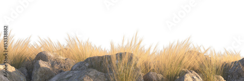 Valokuva tall grass on rocks isolated, yellow grass in the foreground with rocks