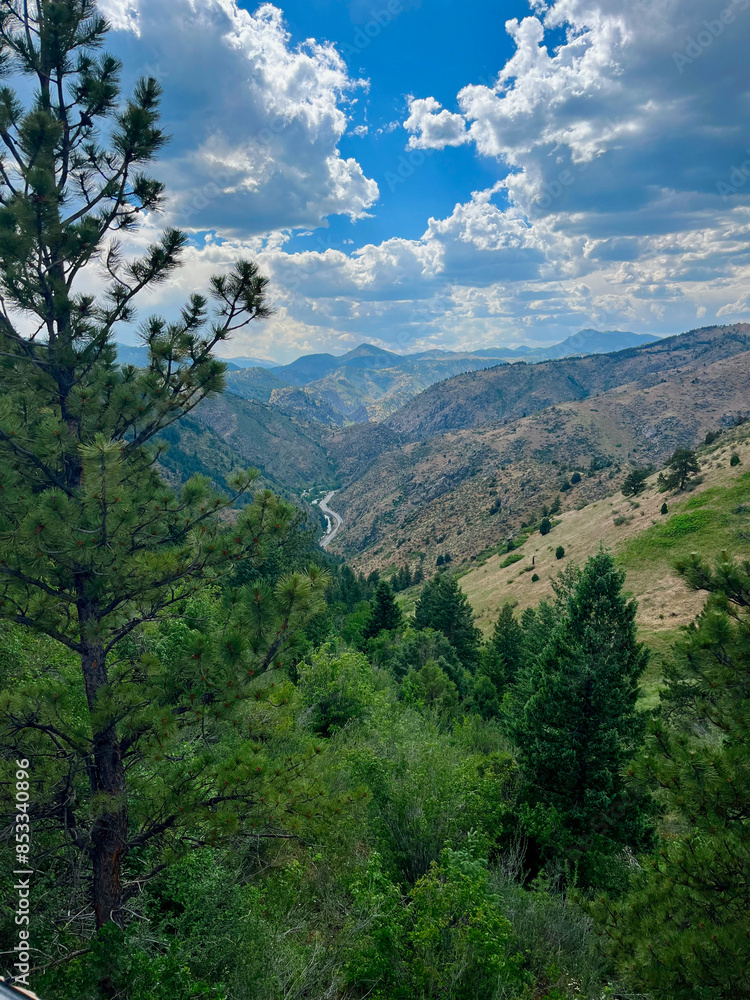 Mountain landscape with trees and road. Mountain landscape with trees and road.
