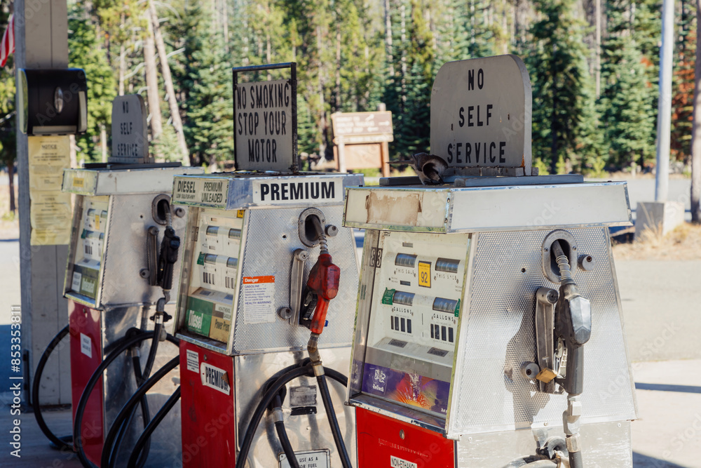 Old mechanical gas pump with bird on top of it. Oregon, United States of America. Old mechanical gas pump with bird on top of it. Oregon, United States of America.