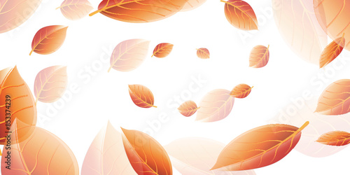 紅葉　葉　秋　背景	