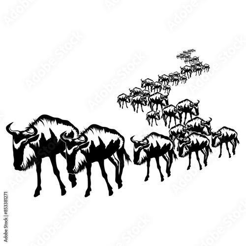 Animal Migration
