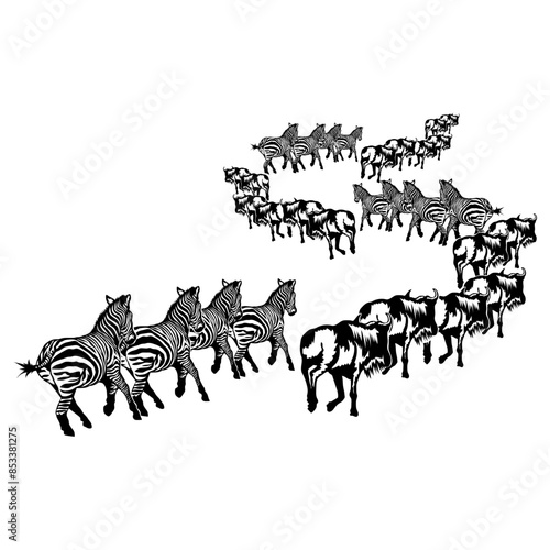 Animal Migration