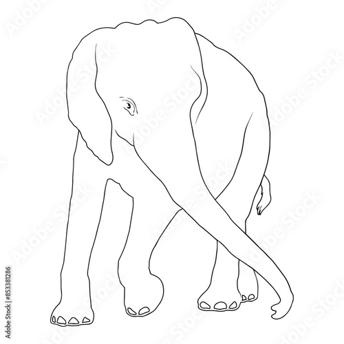 Animals African Elephant Outline