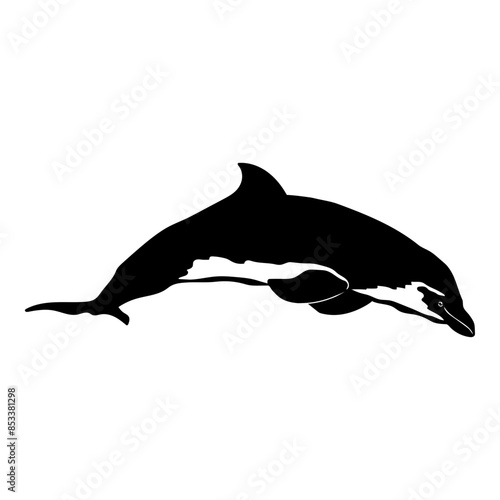 Animals Bottlenose Dolphin