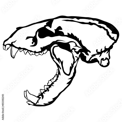 Badger Skull