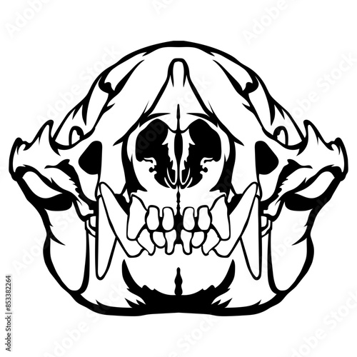Badger Skull
