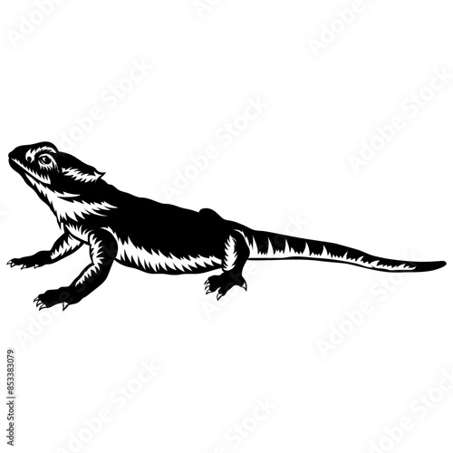 Bearded Dragon