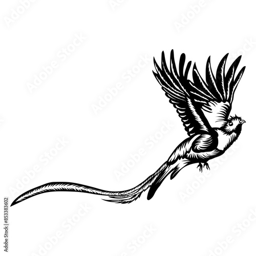 Birds Quetzal