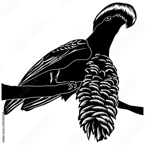 Birds Umbrellabird