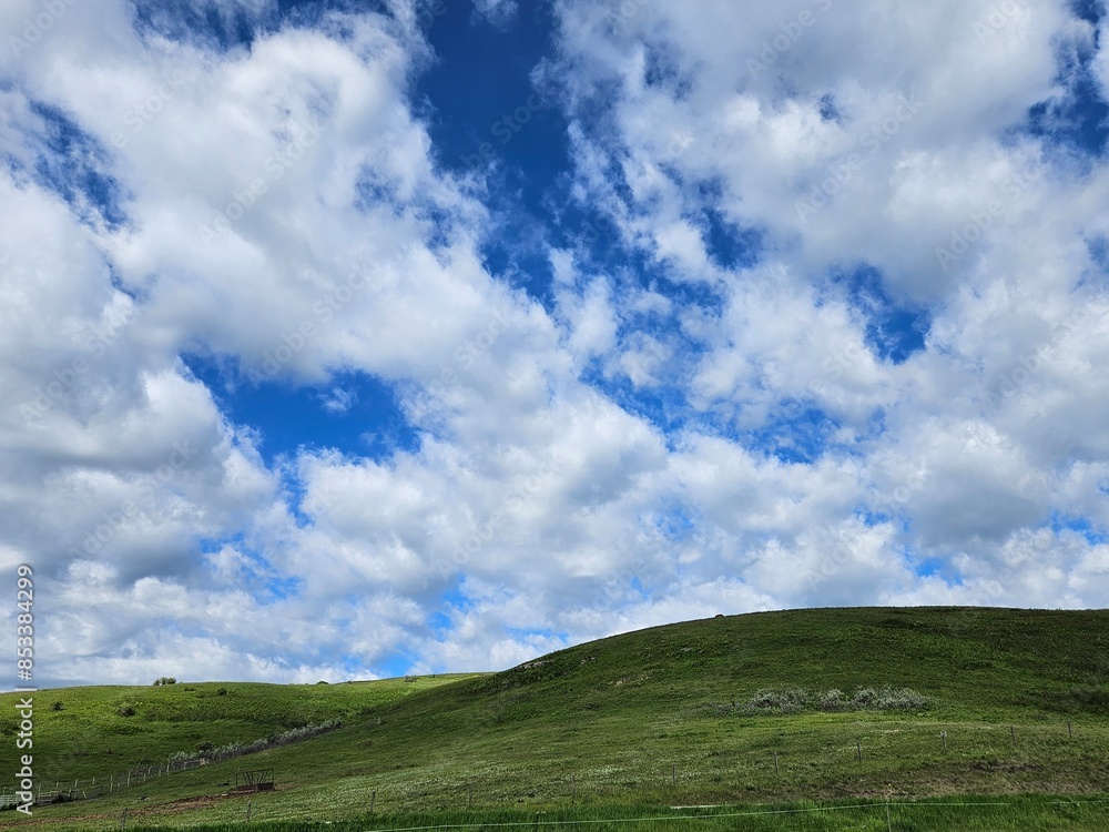 Empty nature landscape of a hill covered with green grass and a blue sky with white clouds. Empty nature landscape of a hill covered with green grass and a blue sky with white clouds.