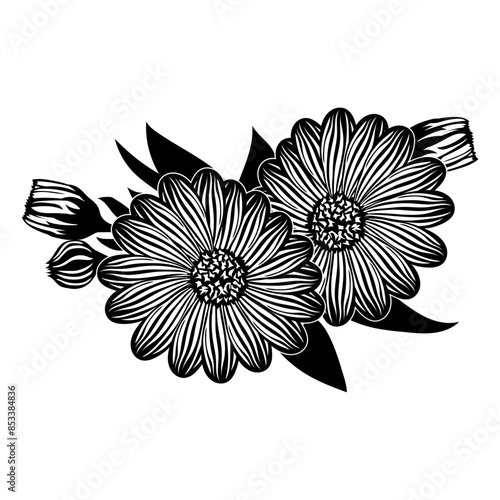 Calendula flowers