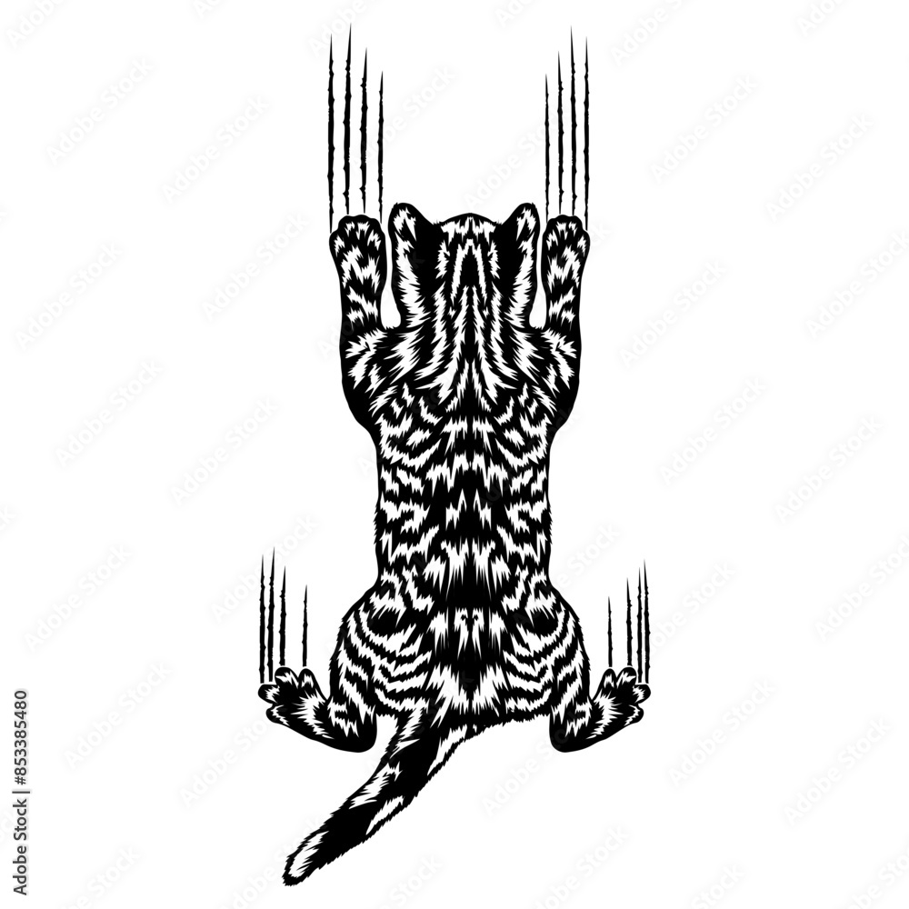 Cat Scratching Wall Cat Nails Cat Cat Cat Scratching Wall Cat Nails Cat Cat