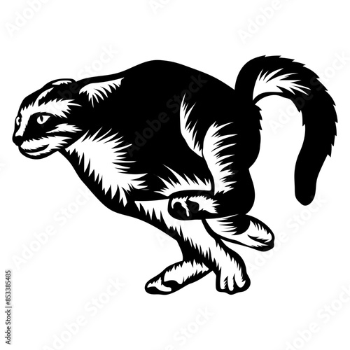 Cat Running