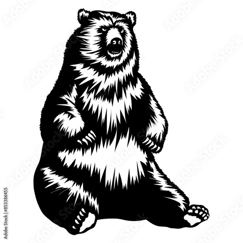 Clumsy Bear Sitting  Funny Bear Bear Bear