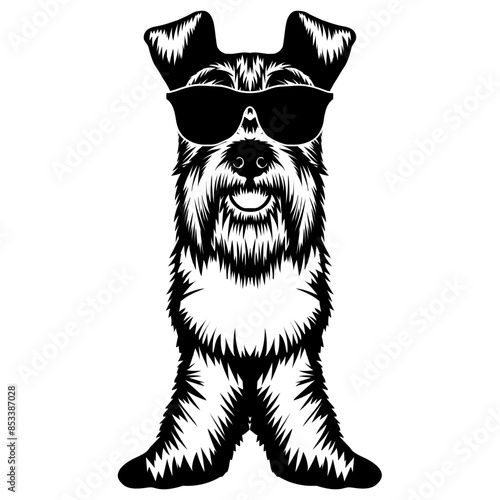 Cool Dog in Sunglasses Dog Funny Dog Dog