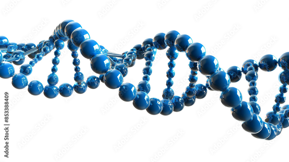 Structure DNA on white background Structure DNA on white background