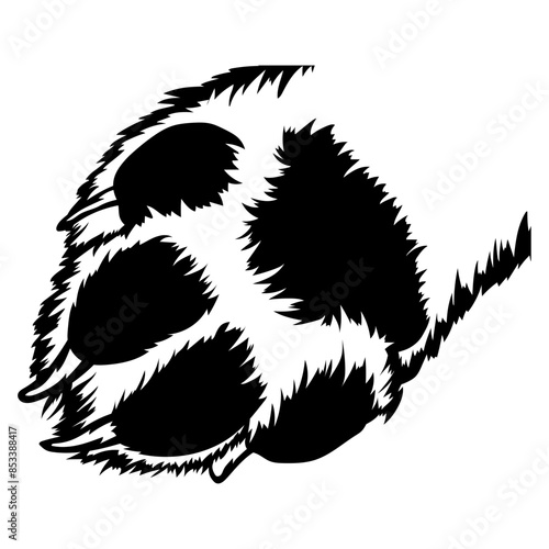 Dog Paw Bottom