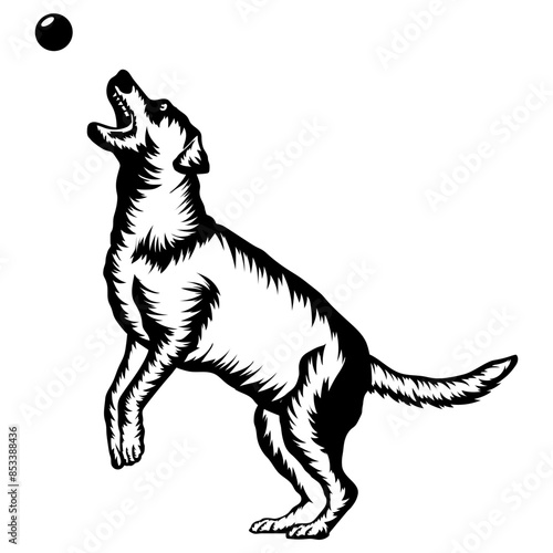 Dog Playing With Ball